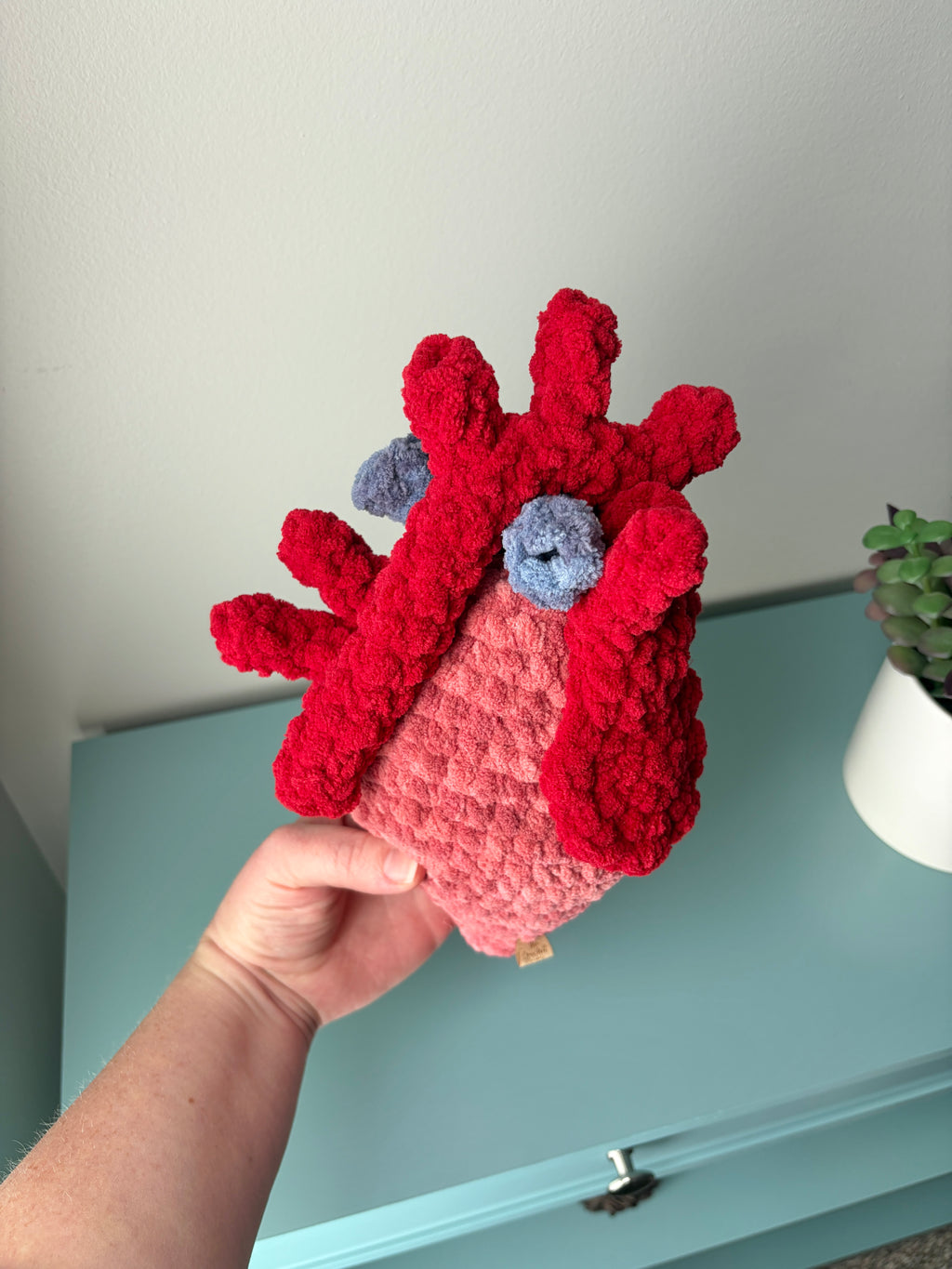 Anatomical Heart