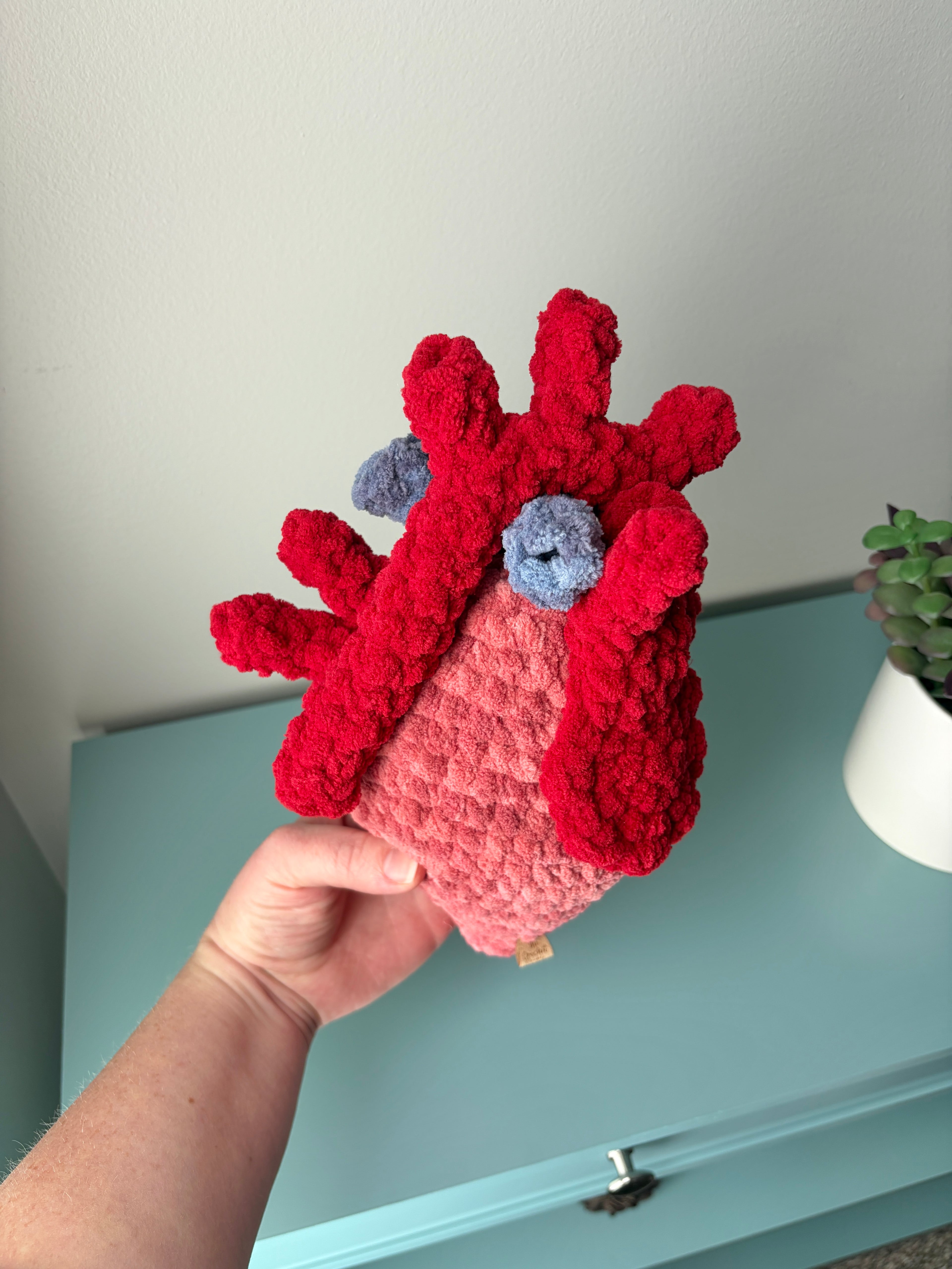 Anatomical Heart