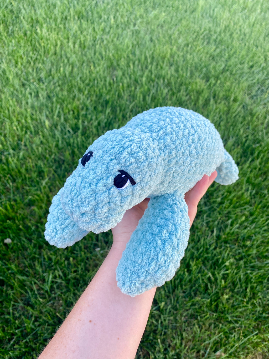 Milo the baby Manatee