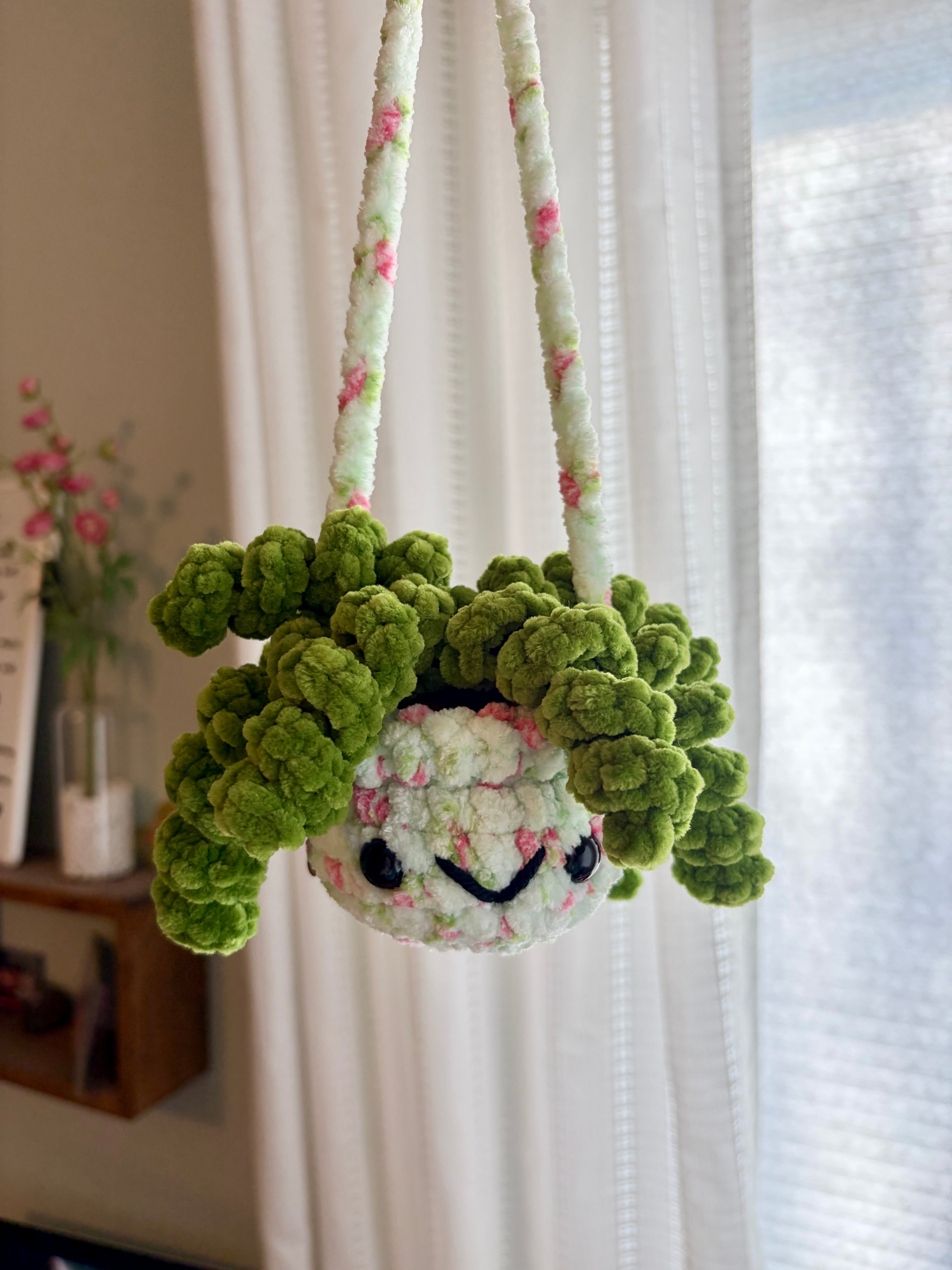 Hanging Plant - Curly