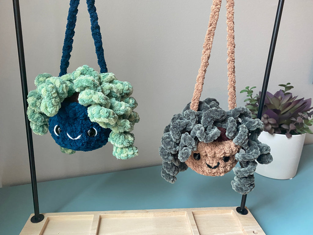 Hanging Plant - Curly