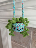 Hanging Plant - String of Pearls