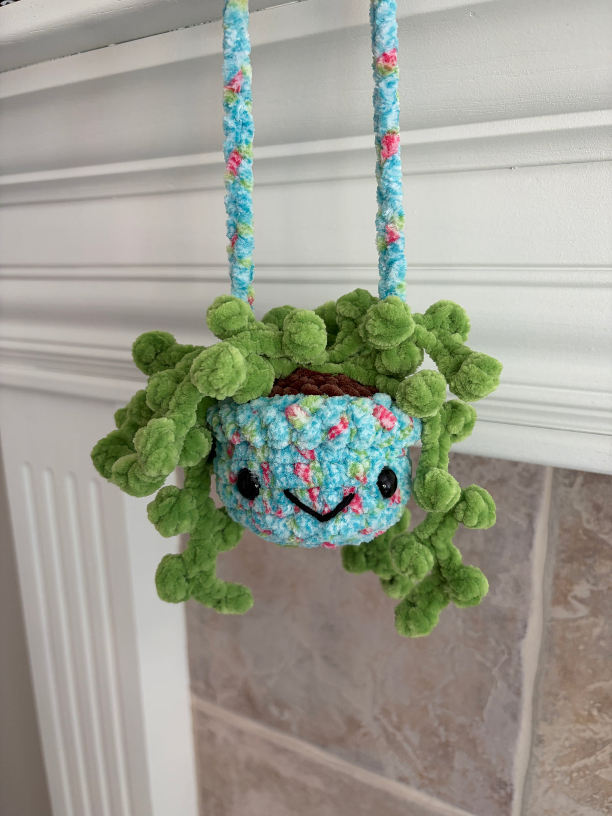 Hanging Plant - String of Pearls