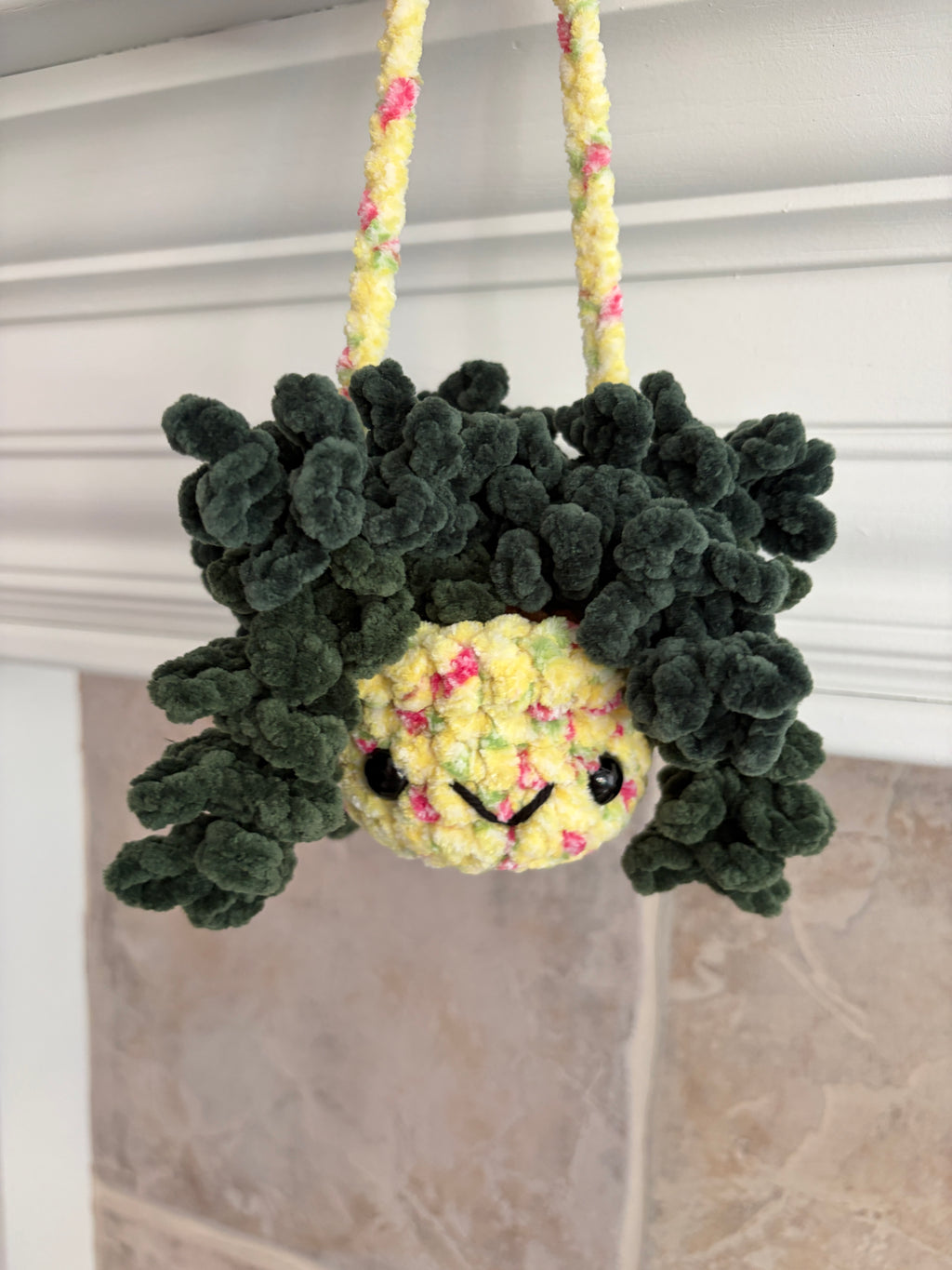 Hanging Plant - Burrow’s Tail