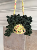 Hanging Plant - Burrow’s Tail