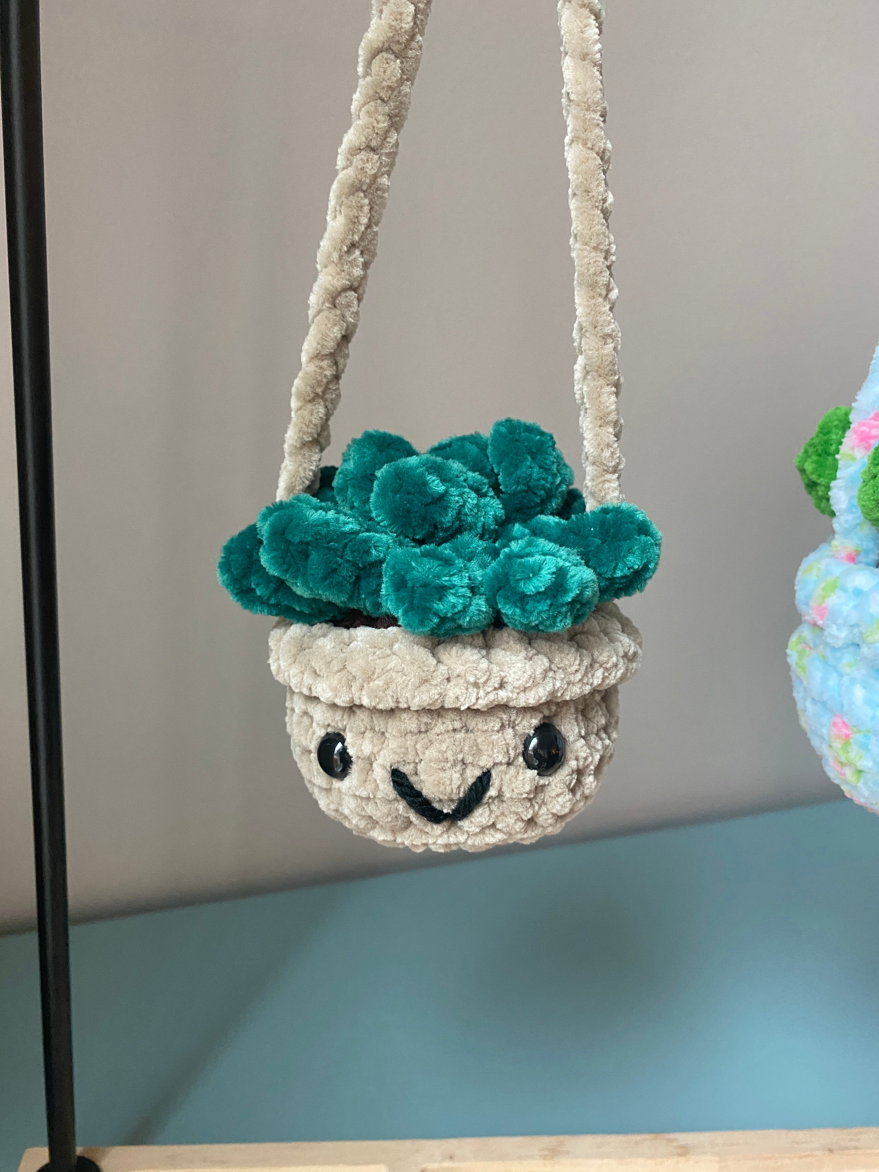 Hanging Plant - Agave