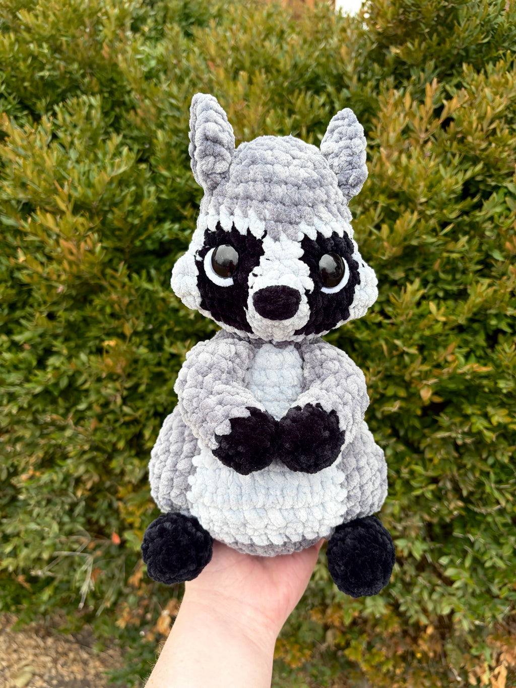 River the Raccoon