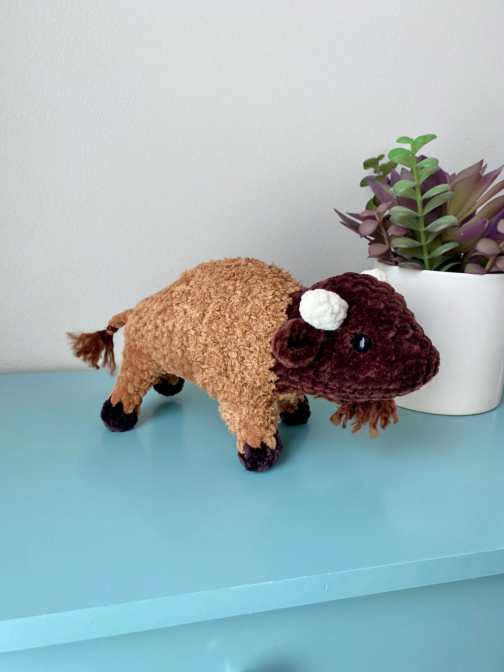 Bison