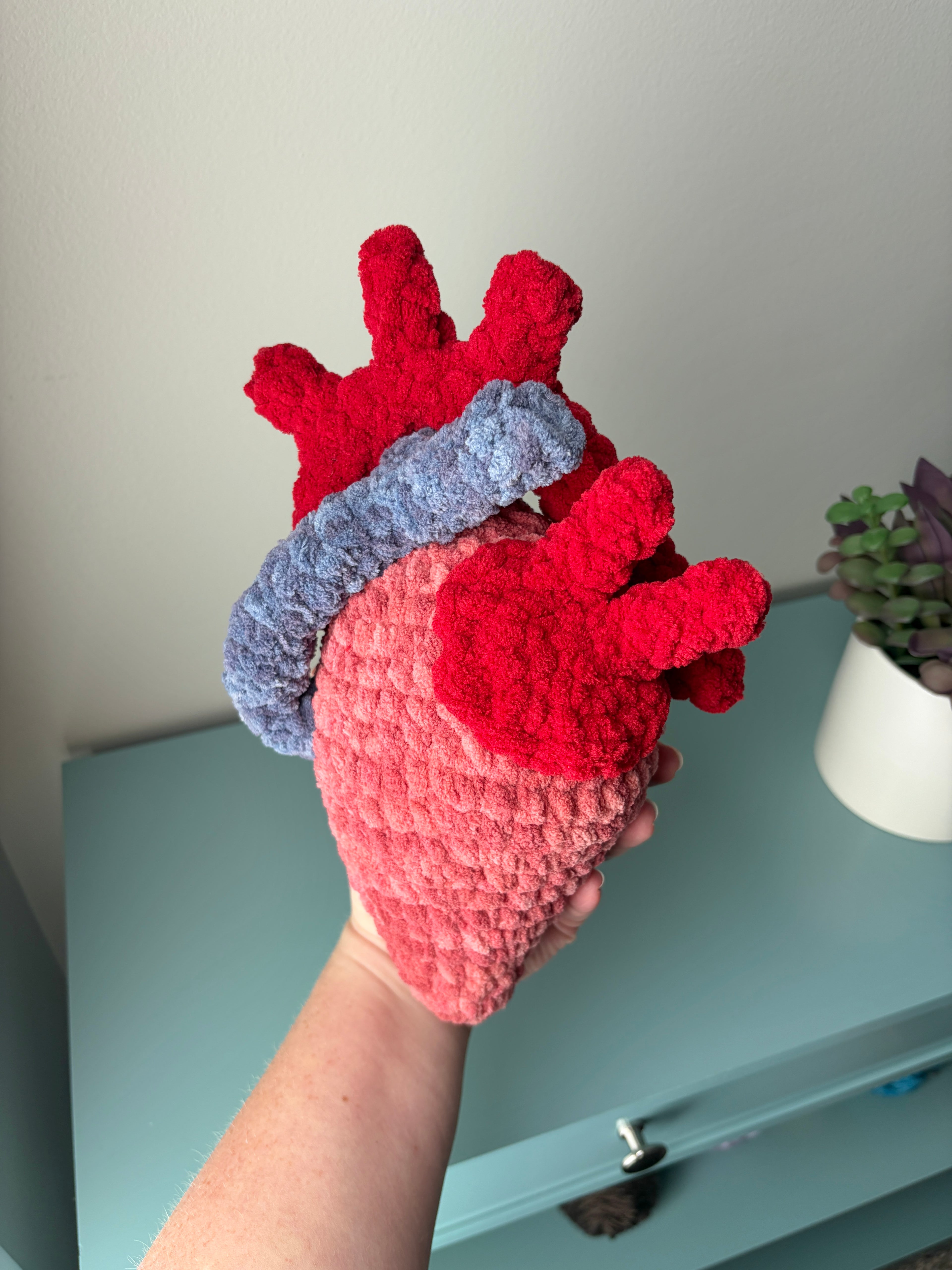 Anatomical Heart