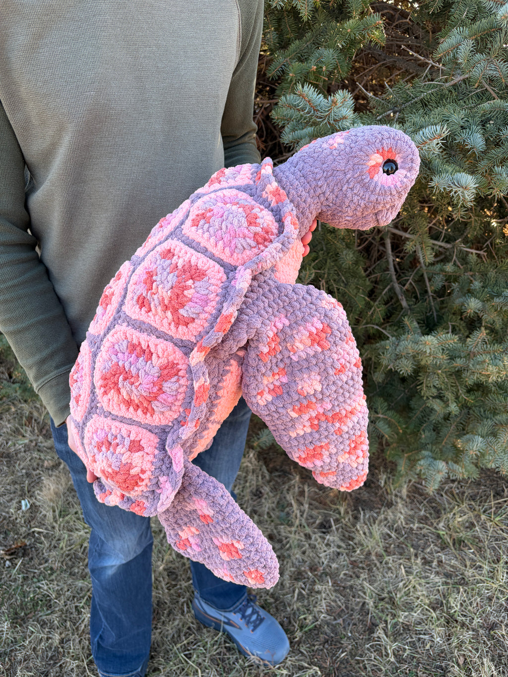 Salish the Sea Turtle