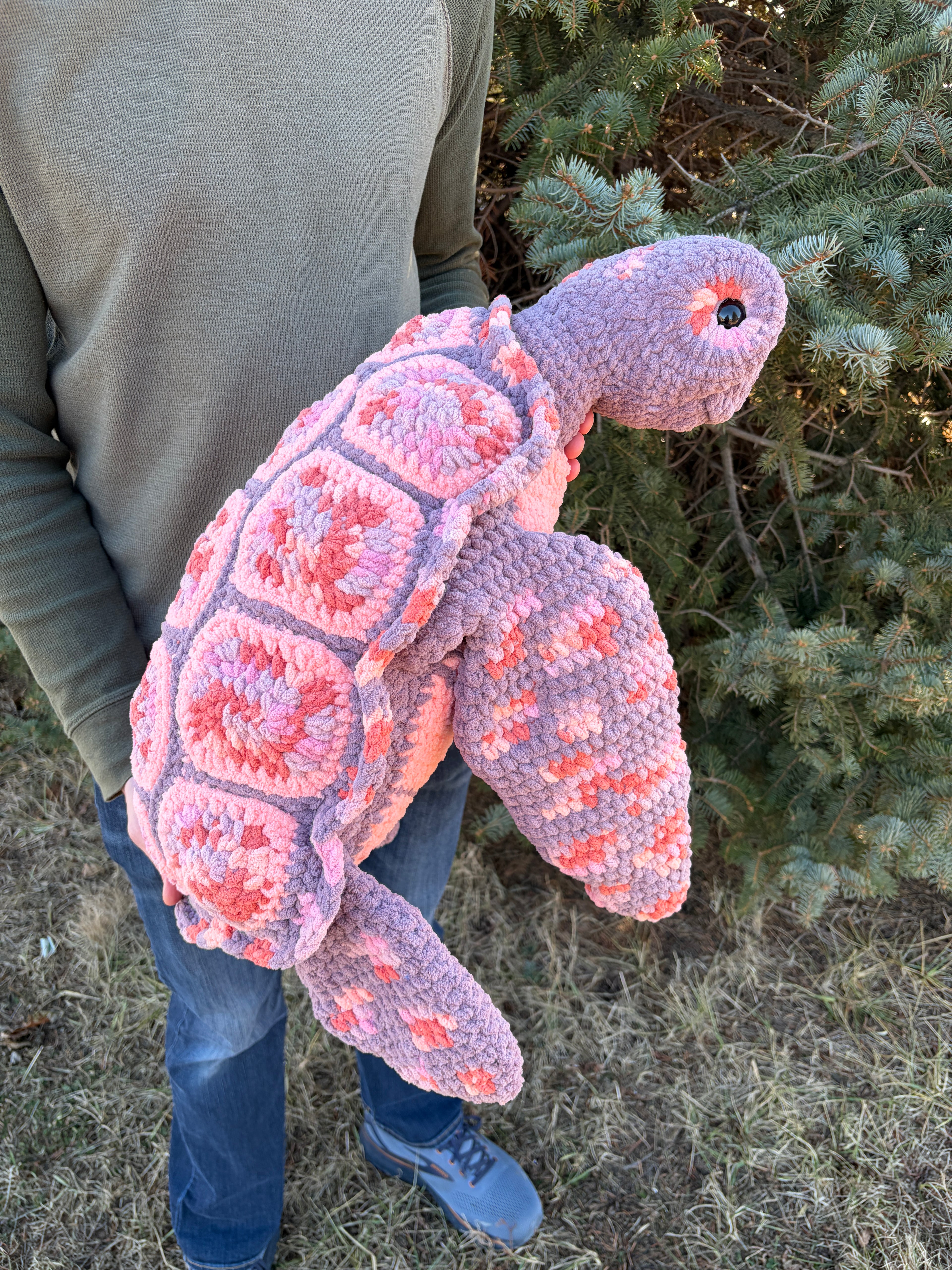 Salish the Sea Turtle