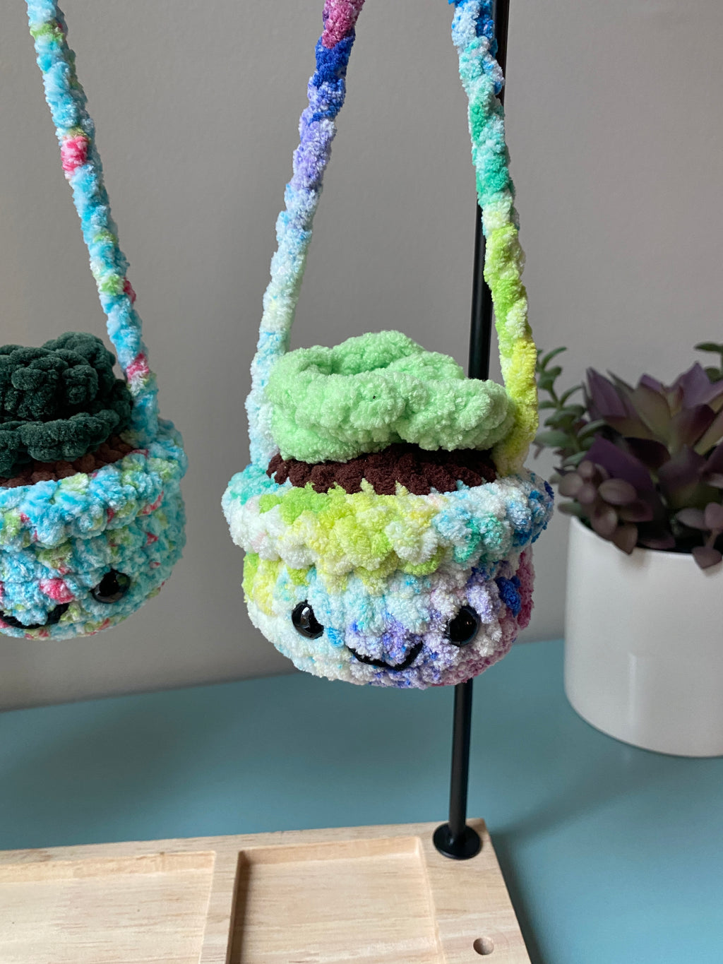 Hanging Plant - Echeveria Succulent