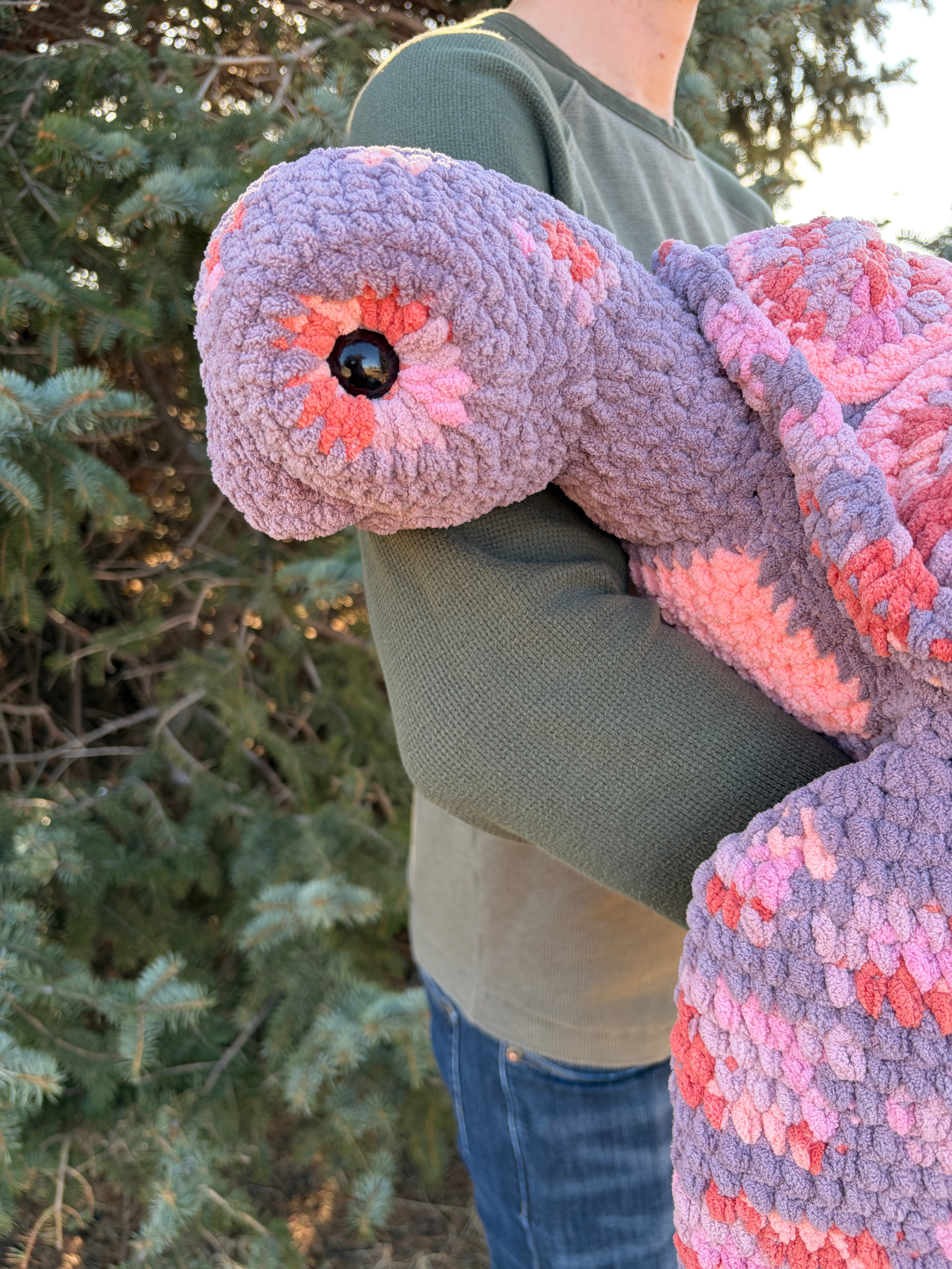 Salish the Sea Turtle