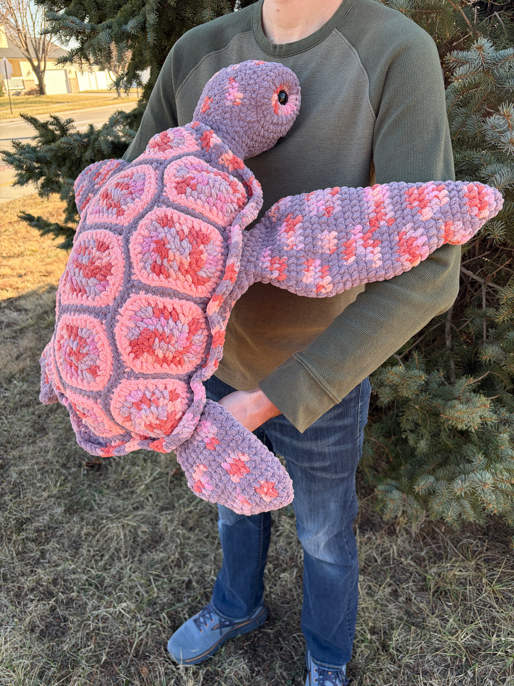 Salish the Sea Turtle