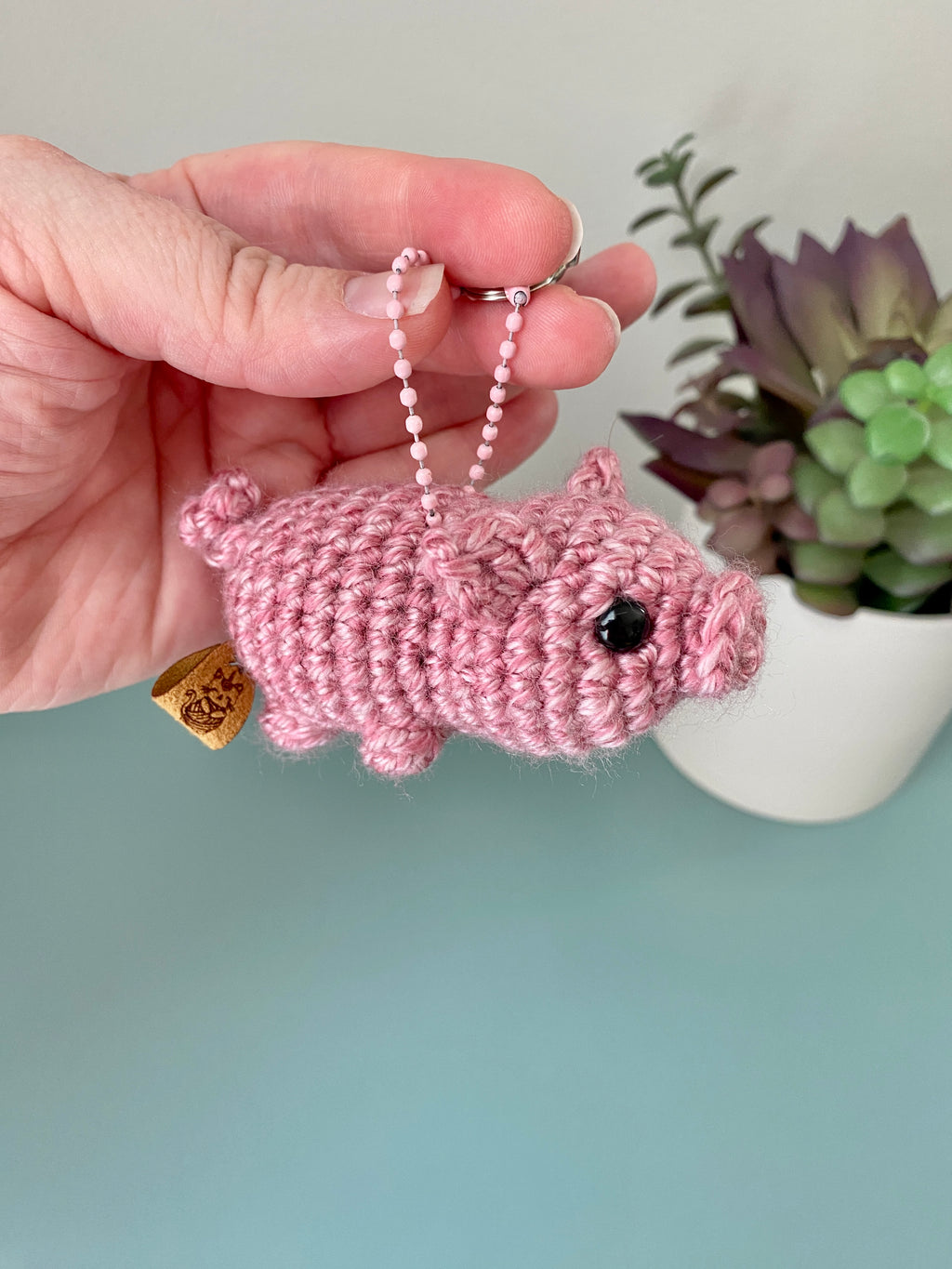 Petunia the Pig