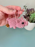 Petunia the Pig