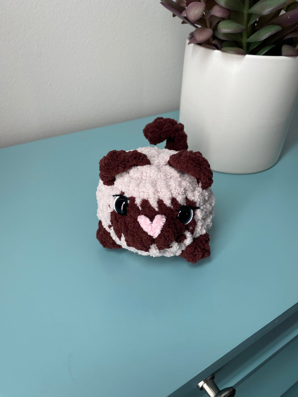 Cat - small