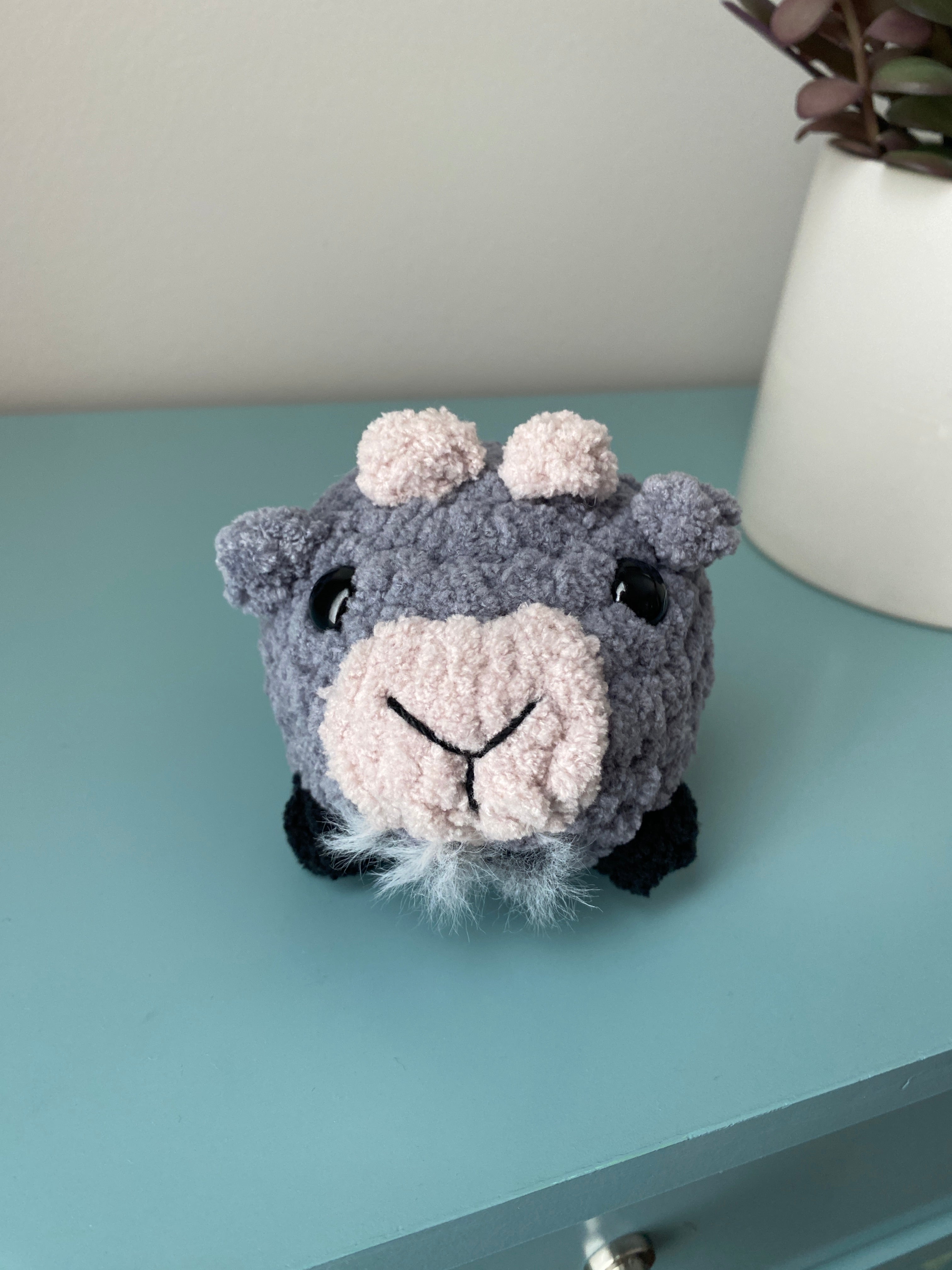 Pet - small