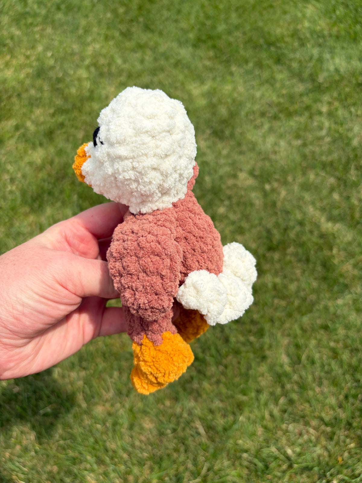 Eagle Bub
