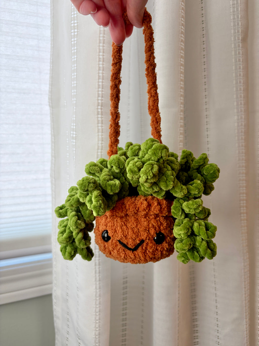 Hanging Plant - Burrow’s Tail