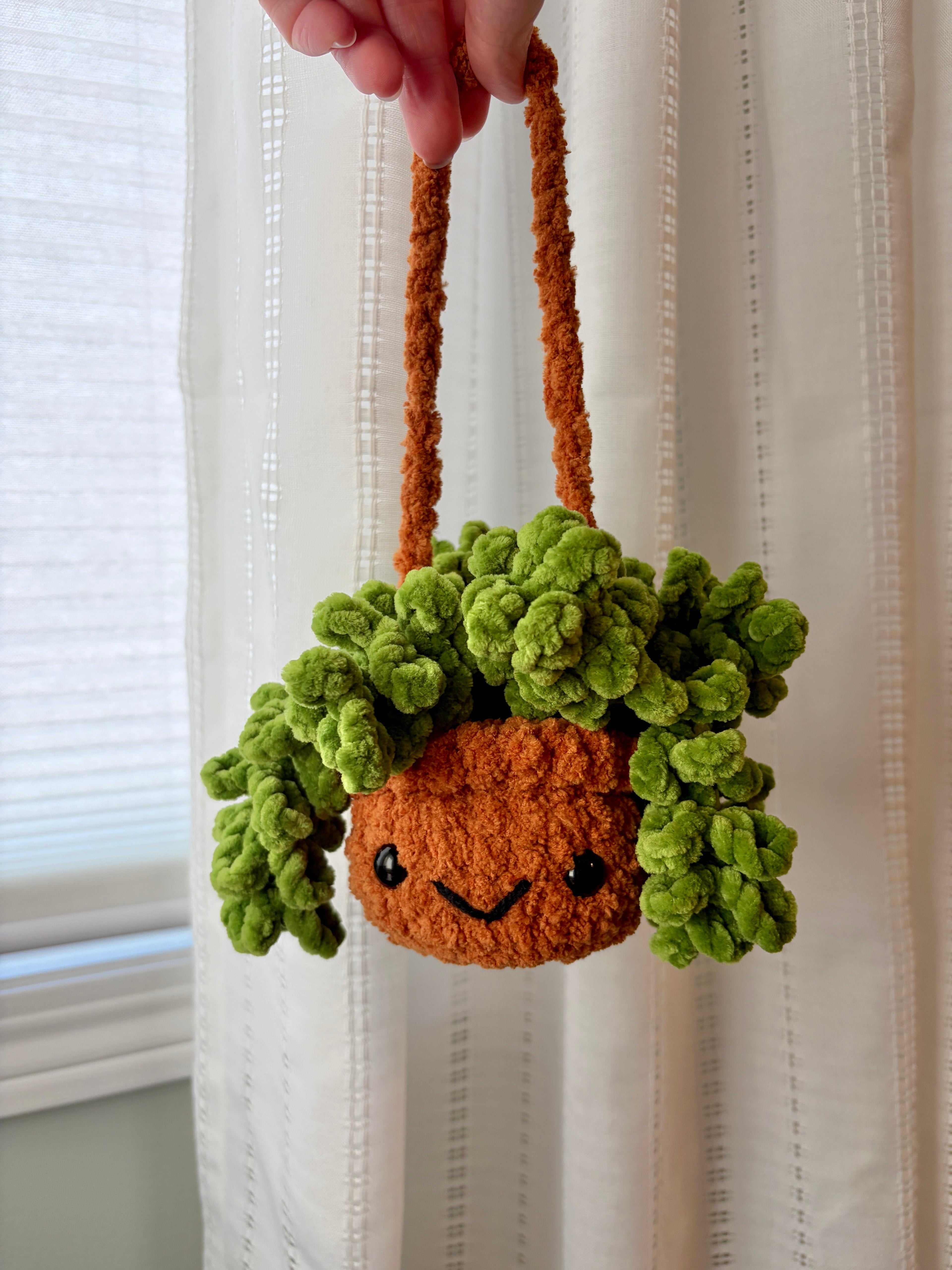 Hanging Plant - Burrow’s Tail