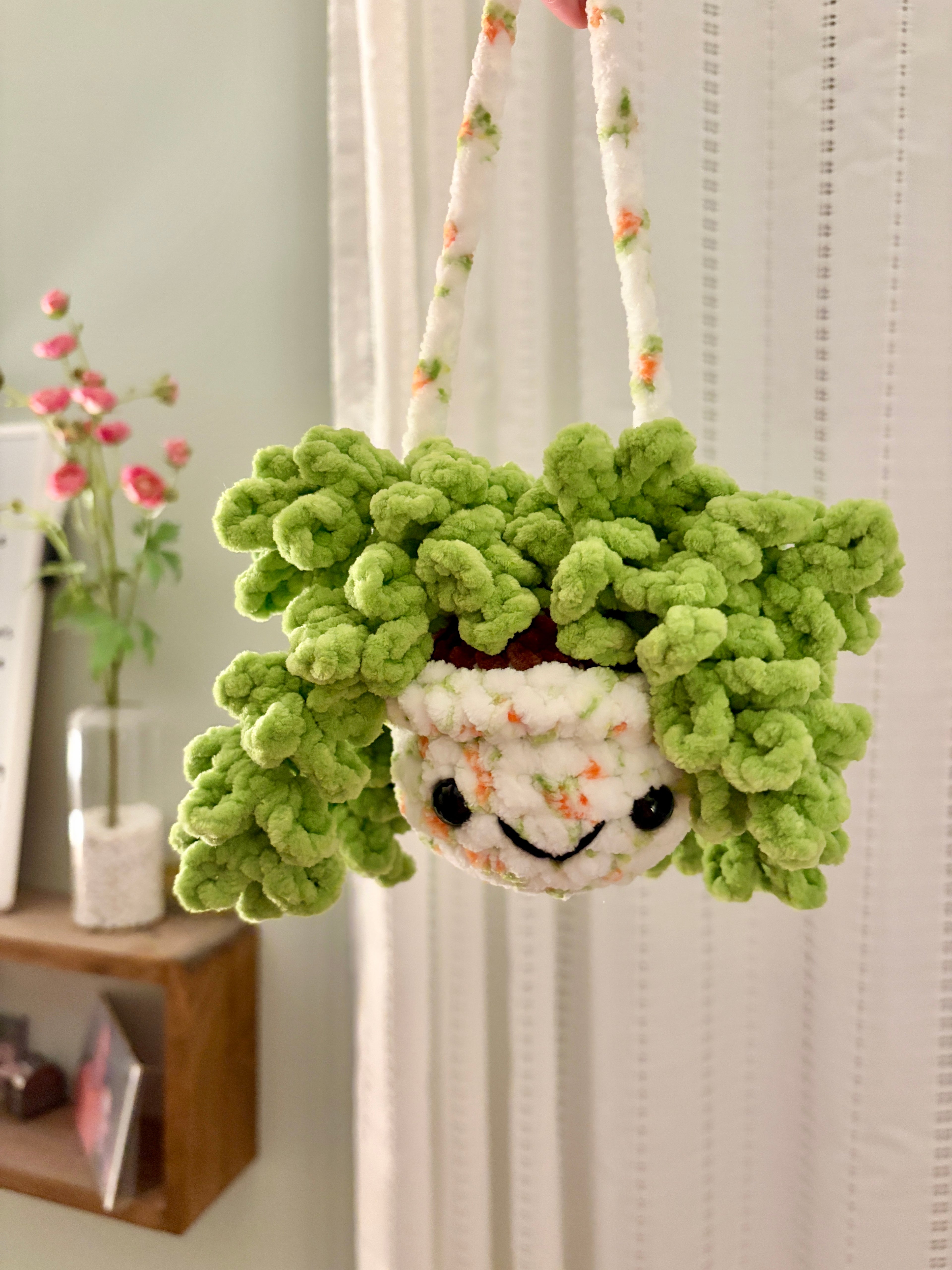 Hanging Plant - Burrow’s Tail