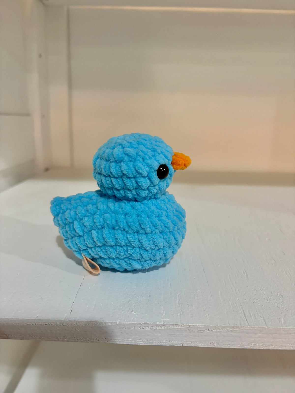 Squeaky Duck