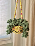 Hanging Plant - Burrow’s Tail