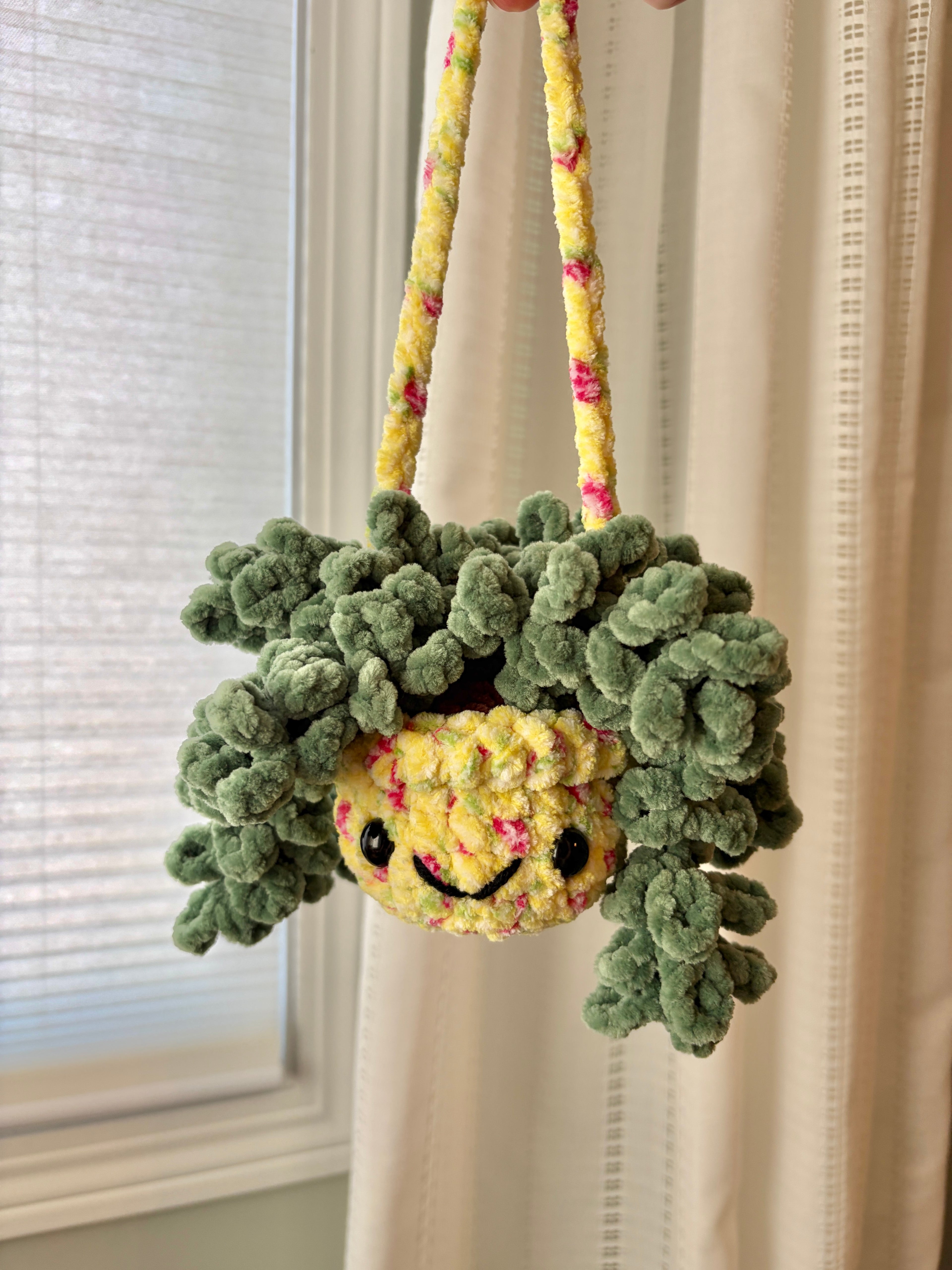 Hanging Plant - Burrow’s Tail