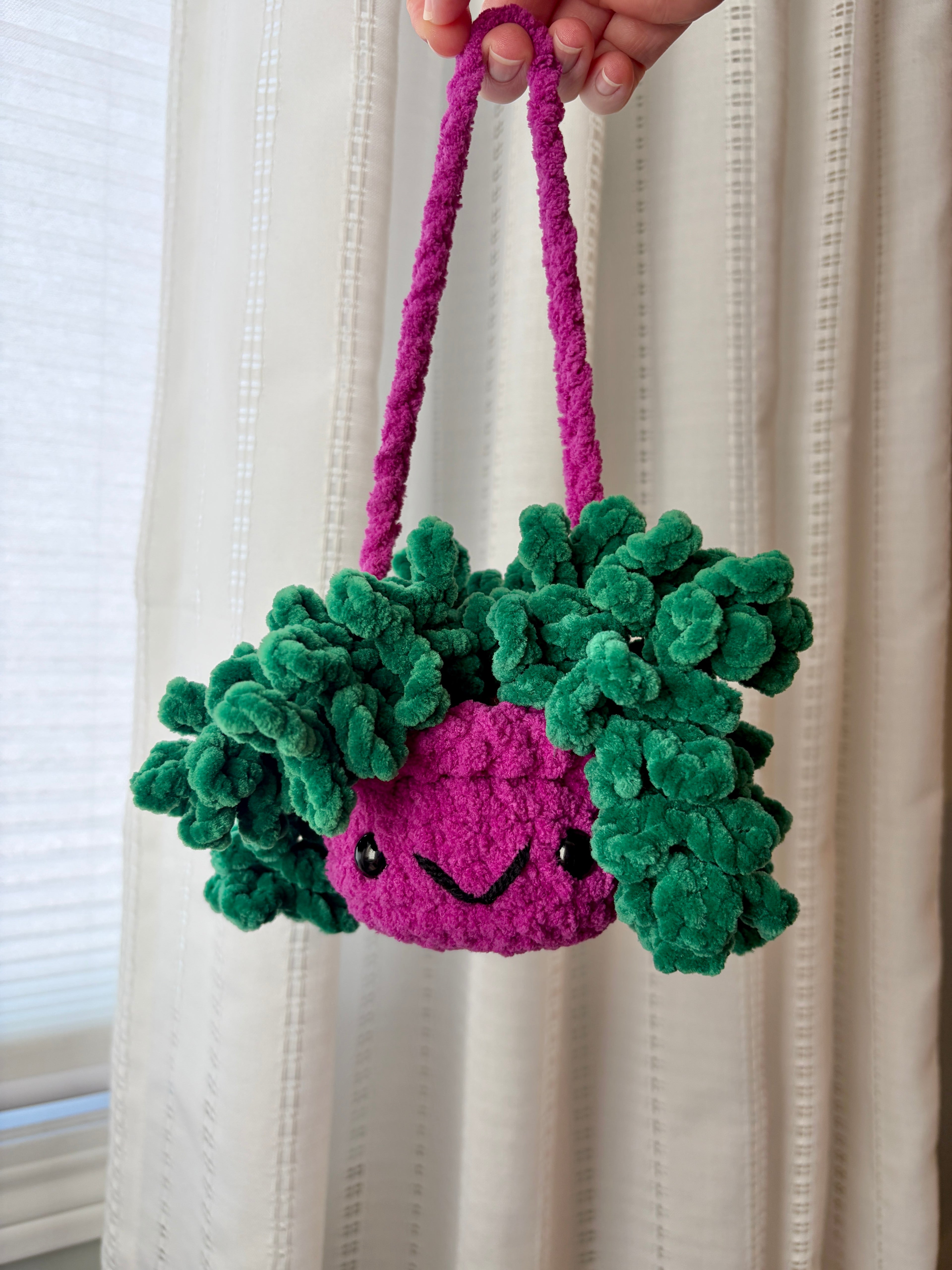 Hanging Plant - Burrow’s Tail