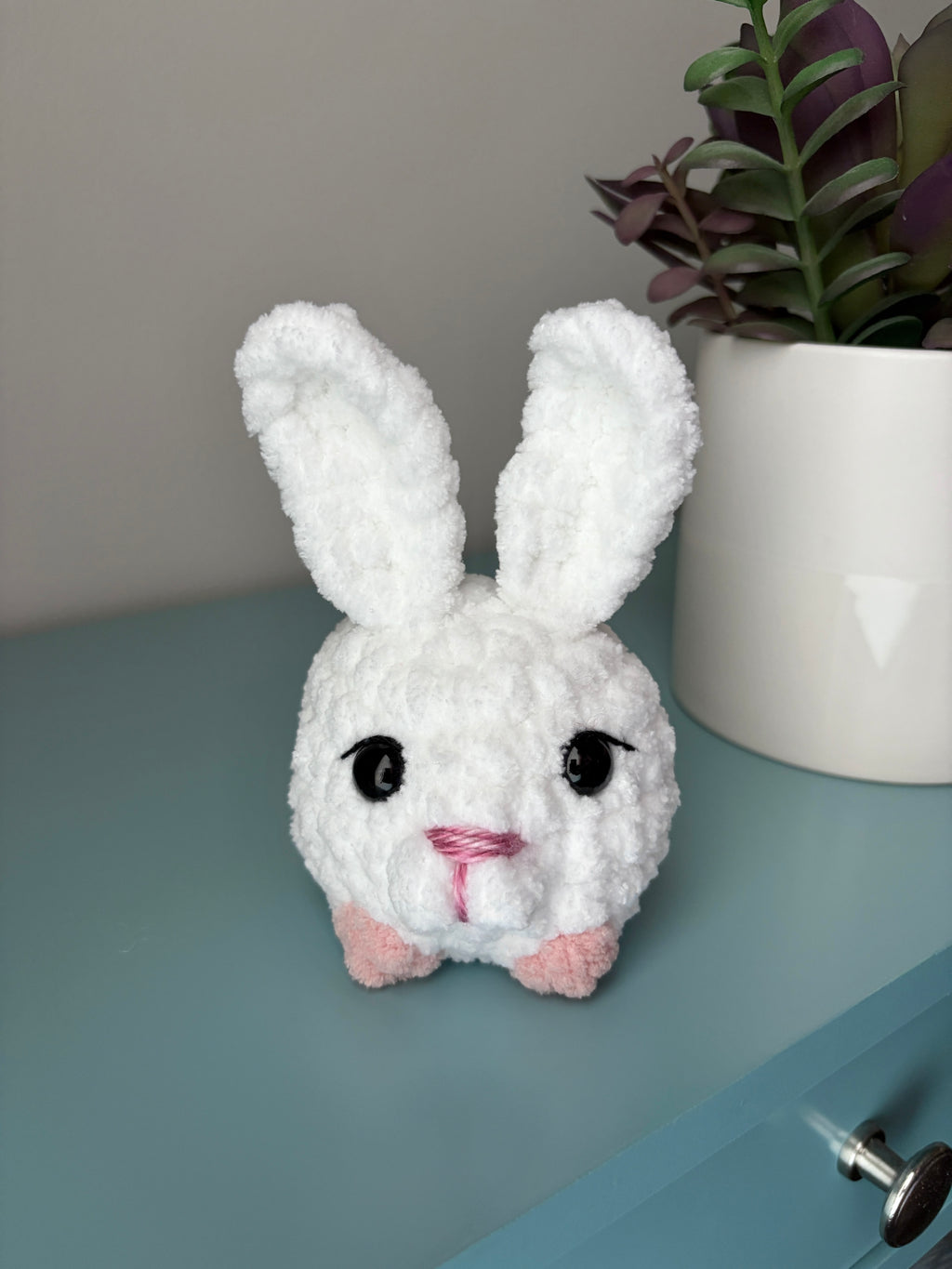 Pet - small