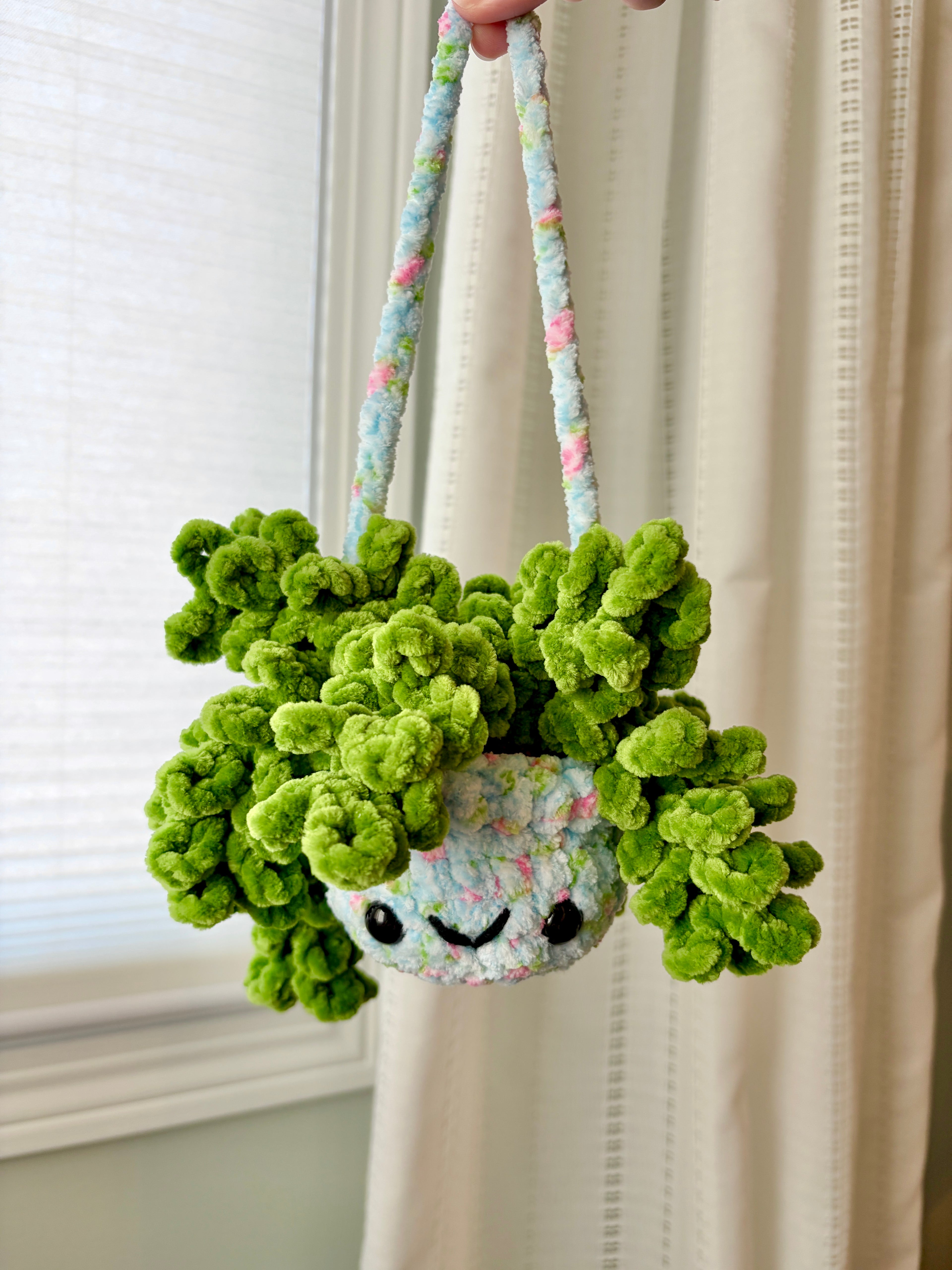 Hanging Plant - Burrow’s Tail