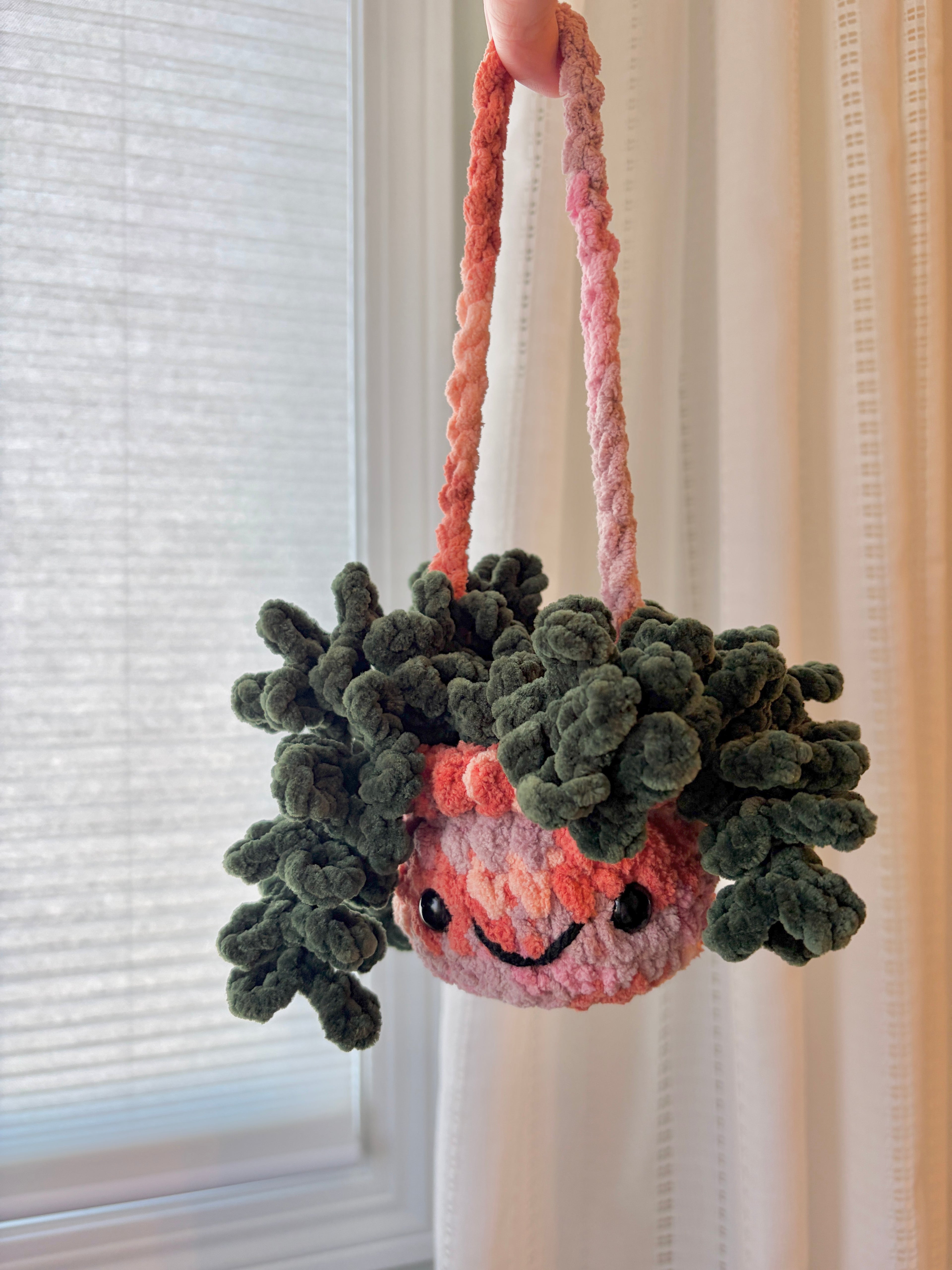 Hanging Plant - Burrow’s Tail