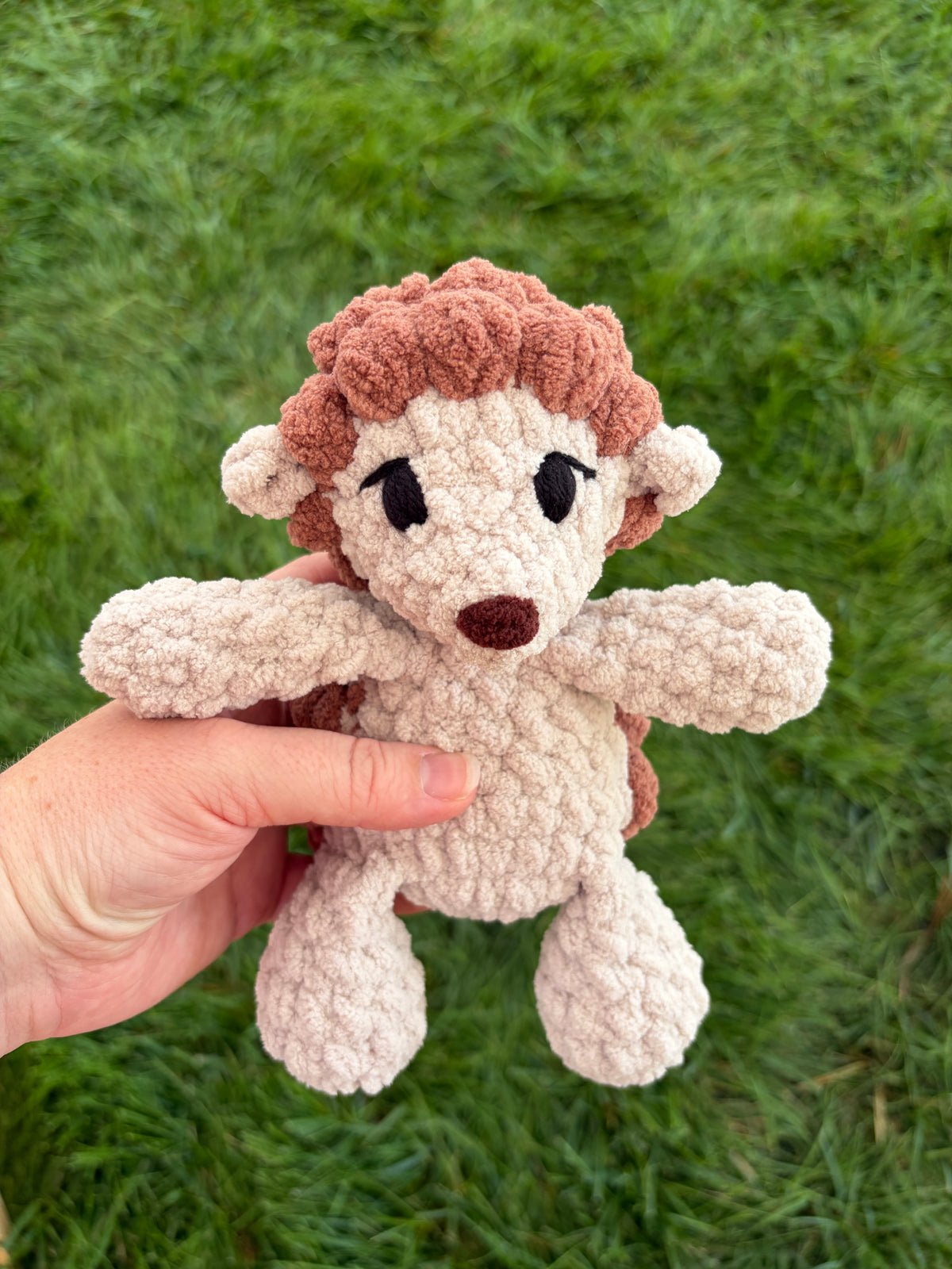 Hedgehog Bub