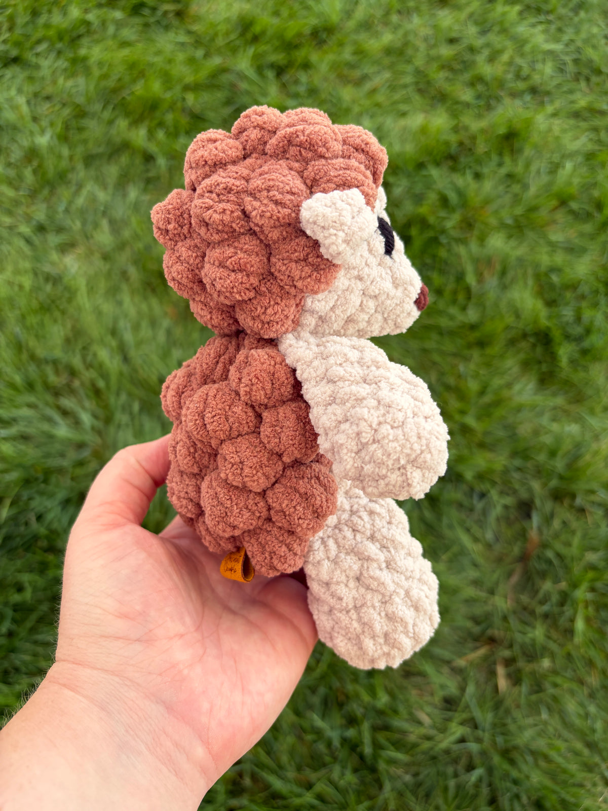 Hedgehog Bub