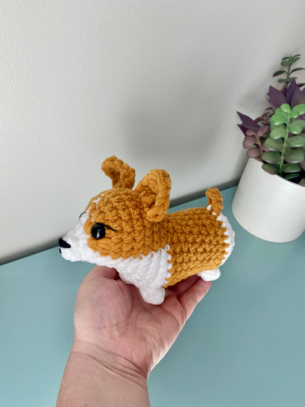 Corgi