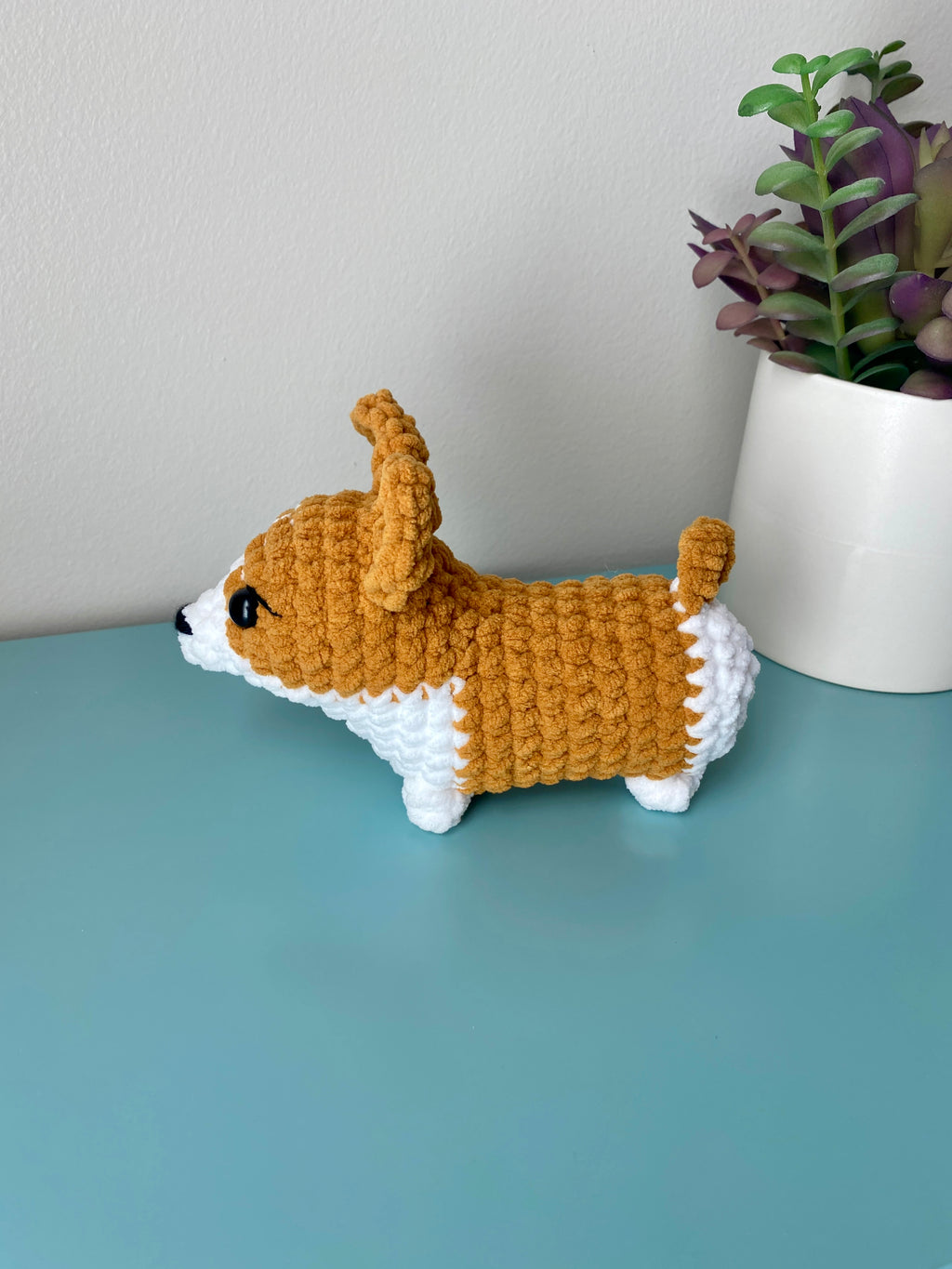 Corgi
