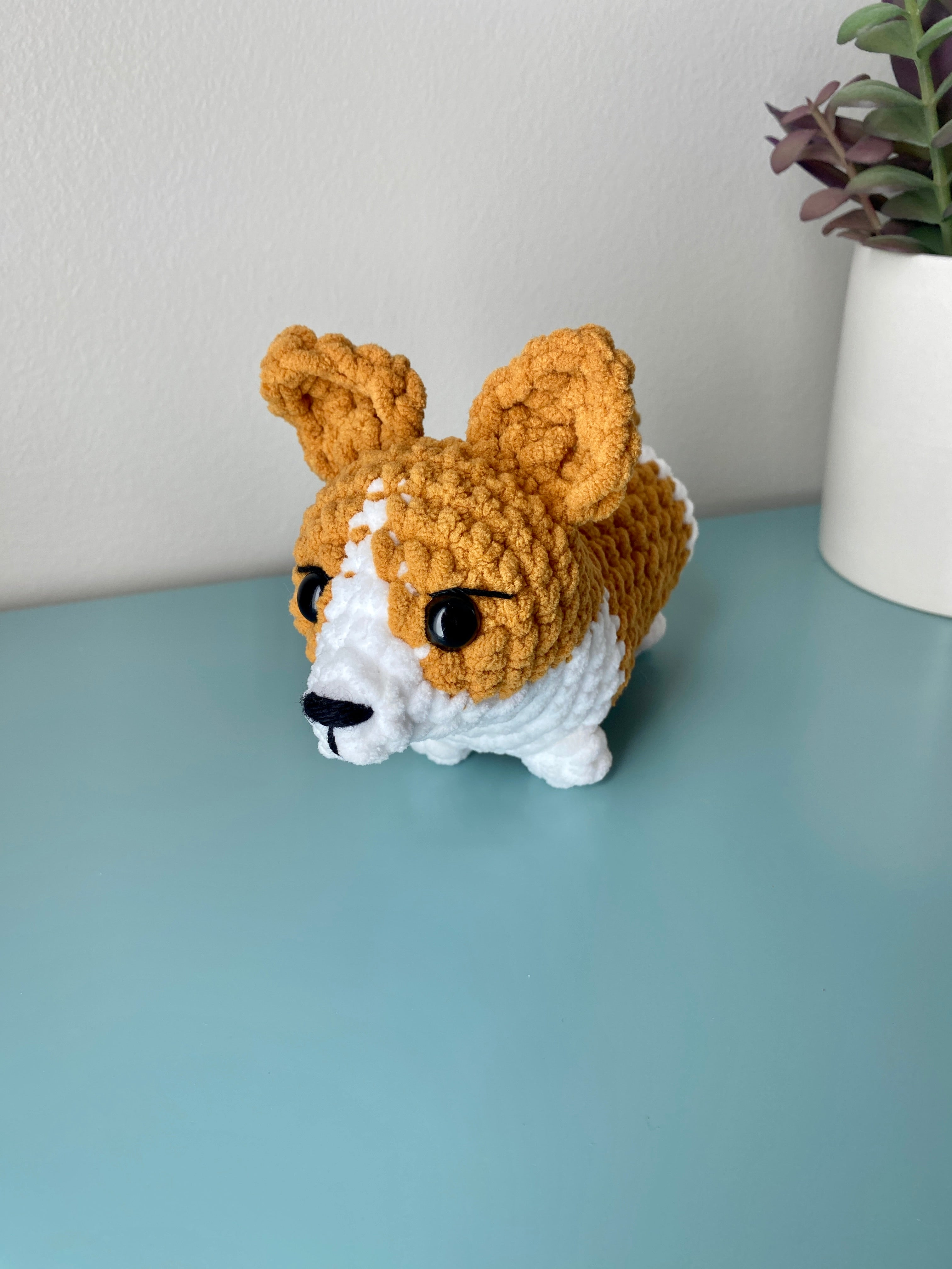 Corgi